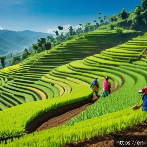 부룬디의 대표적 인물 - A vibrant rural scene in Burundi showcasing farmers on steep hillsides using terracing agricultural ...